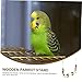BESPORTBLE Parrot Stand Perch Bird Perch Parrot Swing Toy Food Cups Safe Wooden Bird Toy Set for Pet Birds