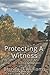 Protecting A Witness: Book 3 A Southern Railway