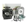 Malossi Sport Kit de cylindre 70 cc 10 mm Pour Minarelli vertical