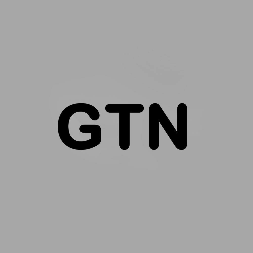 CNC QUALITÄT Abstechschwert 26-2 mit GTN 2 Stechplatten TiN- beschichtet - Stechschwert
