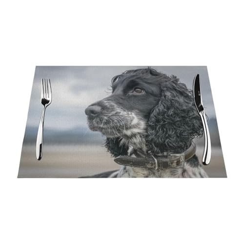 Sets de table Cocker Spaniel lavables en PVC noir 30x45 cm lot de 6 - 2