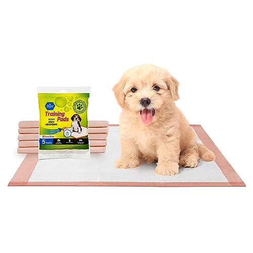 Pee Pads for Cats The 15 best products compared Wild Explained