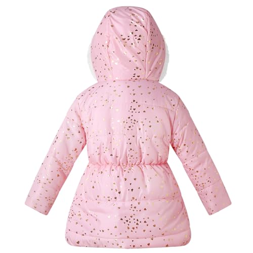 Little Girls Winter Dress Coat Fleece Outwear Puffer Jackets Kids Hooded Clothes2