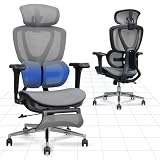 FLEXISPOT BS8 PRO Ergonomic Office Chair, Desk Chair with Dual Wing Lumbar Support and Footrest, 3D Headrest, 3D Armrests & Adjustable Seat Depth, 3-Level Tilt & Height-Adjustable Backrest, Charcoal
