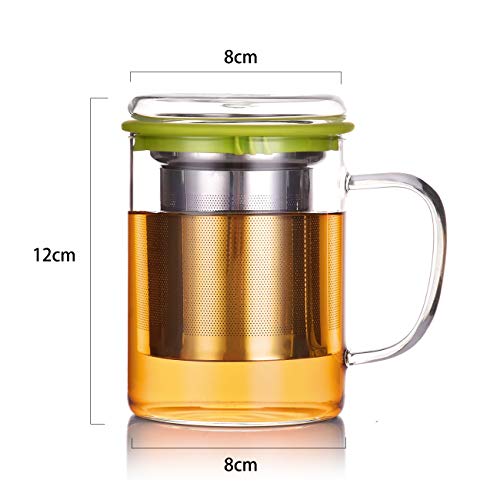 Tomotime Glass Tea Cup with Lid and Stainless Steel Infuser Basket Perfect Clear Tea Mug for Office and Home Uses for Loose Leaf Tea Steeping 13.5 Ounce,400ml, Green
