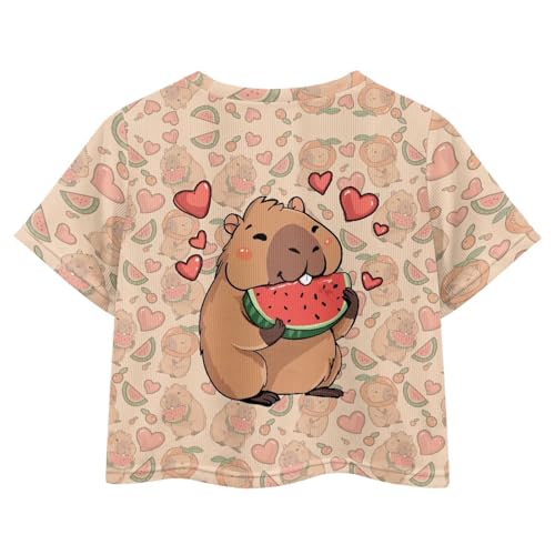 Image of Girls Crop Tees Crew Neck Casual Short Sleeve T Shirts Kids Loose Soft Comfortable Tees Blouses Shirt for Little Girl