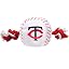 Minnesota Twins