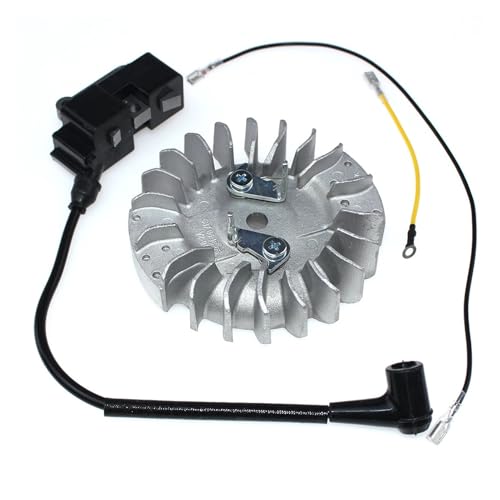 Volant d'inertie et bobine d'allumage pour CS2172 CS2186 CS2255 - 4