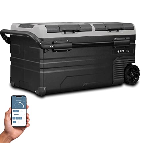 Top 10 Best Camping Electric Coolers [Experts 2023 Reviews]