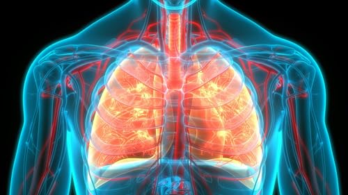 “La fibrosis pulmonar sigue siendo una gran desconocida”: impulsan una vía rápida para su diagnóstico precoz