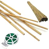 HOPELF 50 Pack 2ft Bamboo Plant Stakes for Wood Garden Sticks，Wooden Plant...