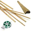 50 Pack 8ft Bamboo Plant Stakes for Wood Garden SticksWooden Plant SupportsBamboosBamboo TrellisCrafts More Size Choices 81216234568
