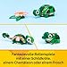 LEGO Creator 3in1 Turtle with a Water Lily Flower Toy - Animal Figure Transforms into a Chameleon or Frog - DIY Desk Decor Idea - Birthday Gift for 7+ Year Old Girls & Boys - 31377