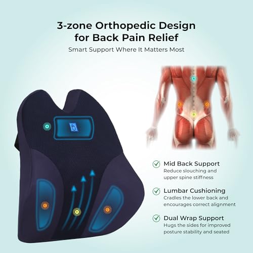 Image of Back Support for Office Chair | 5-Year Warranty | Premium Memory Foam Lumbar Support Pillow | Orthopedic Backrest for Lower Back Pain Relief | Ergonomic Desk Chair & Car Cushion (Large)(Blue)
