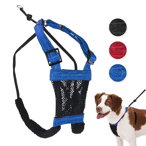 Sporn Mesh Non Pull Dog Harness Medium Blue, Perfect for Training-Stops Dogs from Pulling and Choking on Walks for Small, Medium and Large Dogs, Puppy Harness, No Pull Harness, No Choke Harness