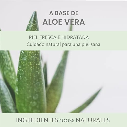Crema de Aloe Vera reparadora BOHO con aceite de albaricoque 5