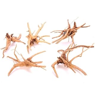 Zhixan lot de 5 racines bois flotté 10-15 et 15-20 cm
