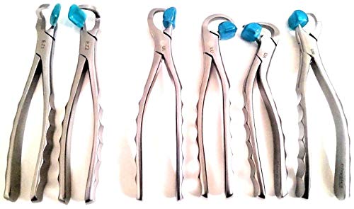 Physics Dental Extraction Forceps Standard Series + Molar Series Set of 6 Pieces with Free Bumpers