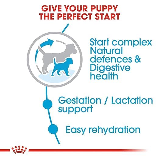 Image of Royal Canin Starter Mini, Mother & Babydog Food, 220 Grams, Dry Food, Supports Complex Natural Defence & Digestive Health, Provides Gestation /Lactation Support, Supports Easy rehydration