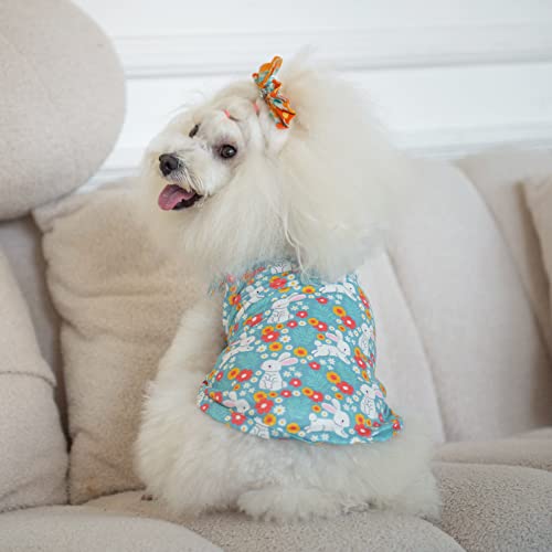 Image of CuteBone Dog Shirts 2-Pack Soft Pet Clothes Breathable Summer Vest for Small Puppy and Stretchy Cat Apparel