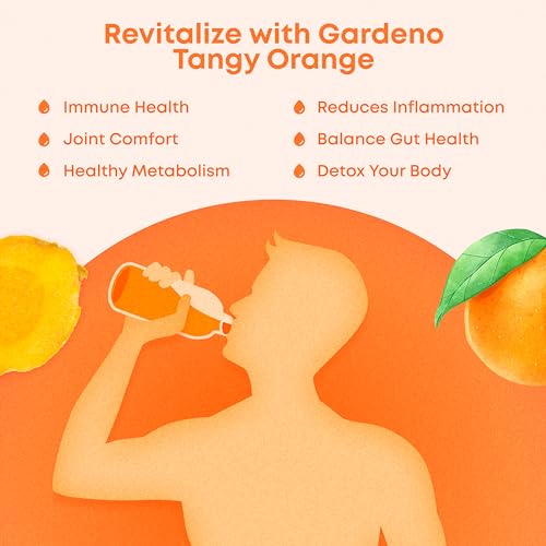 Gardeno Nurturing Life Orange Flavoured Turmeric Curcumin & Ginger Drink Mix with Prebiotic Fiber & Vitamin C - For Immunity & Gut Health - 20 x 4g Sachets