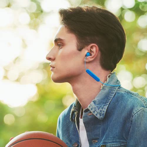 ایگرد | قیمت و خرید Sony WI-C300 Wireless Bluetooth in-Ear Headphones -Blue  - Kit with USB Adapter