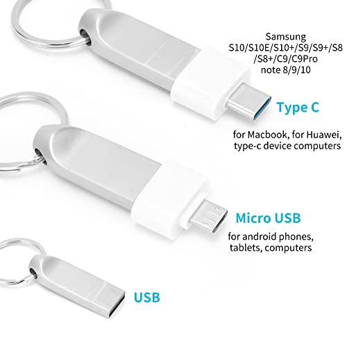 Plyisty USB Flash Drive 12.0 1GB / 2GB / 4GB / 8GB / 32GB / 64GB with Type C Adapter, USB 2.0 Flash Drive Memory Stick Storage Expansion for iPhone iOS Android Smartphone(2GB)