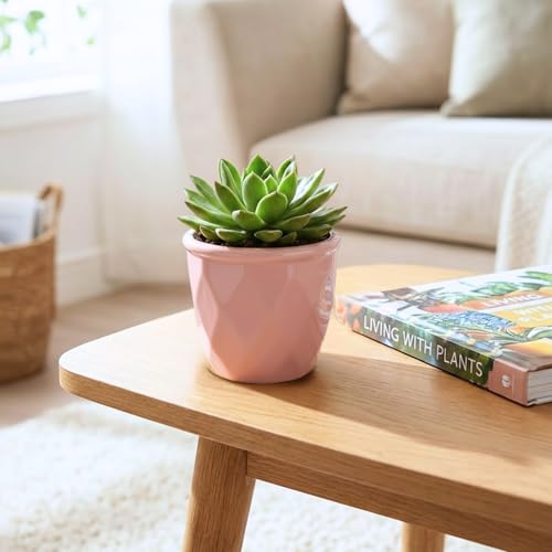 Image of ecofynd 4 Inch Ceramic Plant Pots with Drainage Hole, Modern Decorative Clay Flower Pots for Indoor Plants, Home Garden Decor for Living Room, Bedroom & Interior Spaces (CPOT043-PNK)
