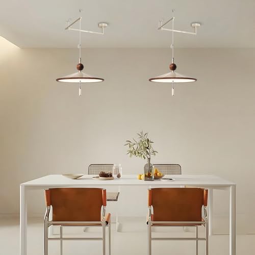 Iluminación deficiente + Luz orientable + Lámpara colgante LED ajustable 3