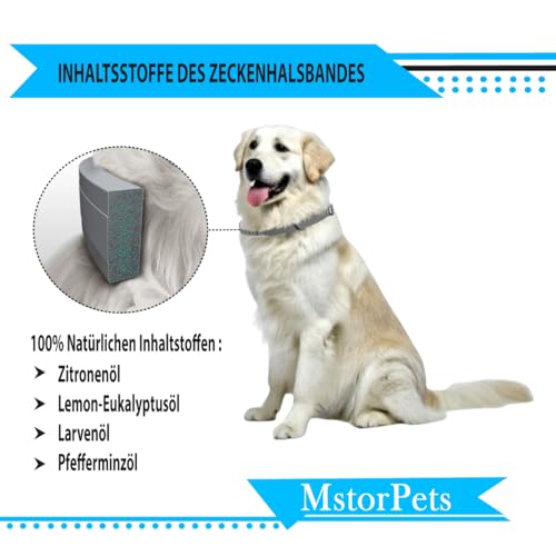 MstorPets | 100% Natürliches Flohhalsband ohne Chemie | Zeckenhalsband klein, & groß | Wasserdicht Größenverstellbar bis 8 Monate Zeckenschutz für Hunde | Anti Floh Hunde Katze [Grau]