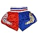 Anotherboxer Unisex Muay Thai Boxing Shorts, for MMA Kickboxing Fighting Shorts with Elastic Waist, Breathable Polyester Blend Martial Arts Fight Wear, Red + White(Blue+Red)(M)