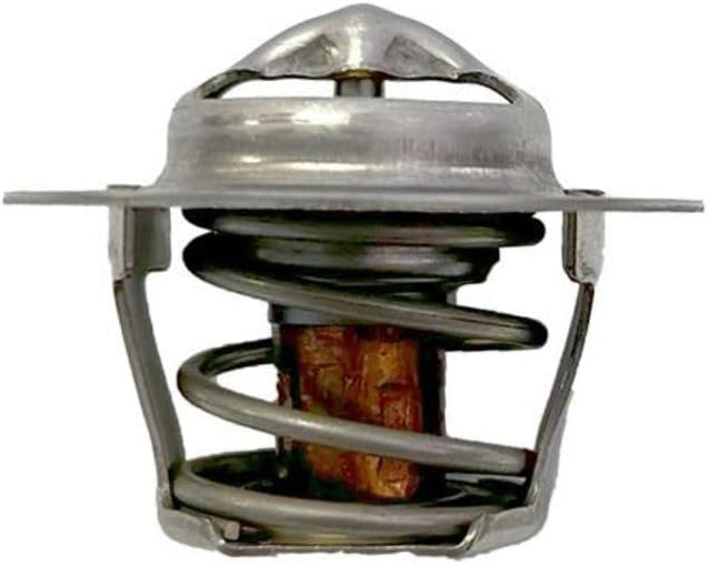 Raypak 019062F Unitherm Governor Kit for Avia Pool and Spa Gas-Fired Heater Models 264 and 404