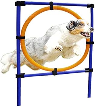 Amazon Yunt 犬 屋外スポーツ用品 走り高跳び 取り外し可能 室外 運動 公園 レーニング おもちゃ Yunt 犬用アジリティ 運動器具 通販