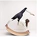 Planche D'équilibre Oscillante en Bois Enfant en Bas Âge Planche De Yoga Planche Courbée Planche À Bascule en Bois Jouet