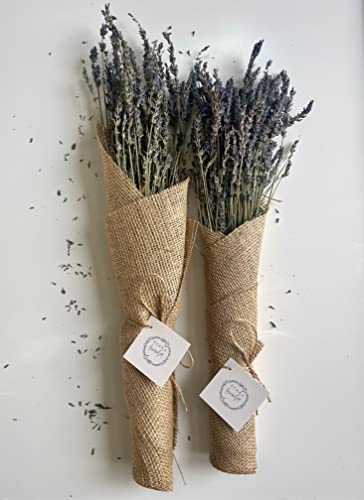 Flores de Lavanda Secas (2 Ramilletes) para Decoración y Artes miniatura 6