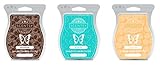 Scentsy Multi-Pack - Mochadoodle, by The Sea, Camu Camu