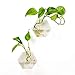 Fashionstorm 2 Packs Home Decor Wall Accessories Geometric Hexagonal Glass Vase Wall Sticked Planters Flower Pots/Water Planter Vase