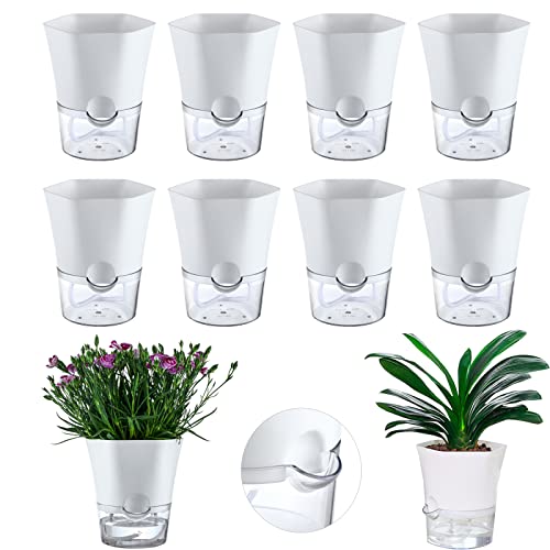 Selbstbewässernder Blumentopf Transparent – Mit Dochtseil Und Wasserreservoir, Für Zimmerpflanzen