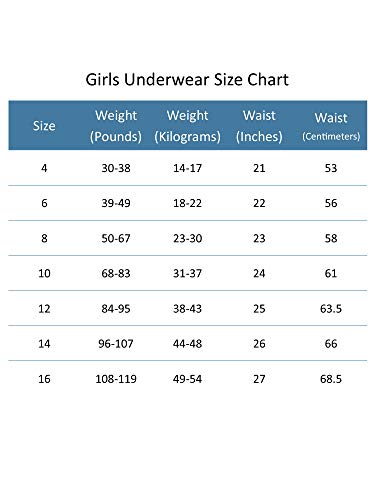 Fruit Of The Loom 6GSLBR1-103-14/16 Girls Seamless Underwear Multipack Briefs thumb #3