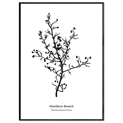 SQIP (XLbv) |X^[ A[g|X^[ mN G G A3 k TUV  A {^jJ  CeA 003 (A3TCYi|X^[̂݁j)