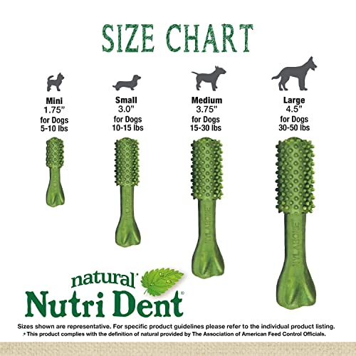 Image of Nylabone Nutri Dent Dog Dental Chews - Natural Dog Teeth Cleaning & Breath Freshener - Dental Treats for Dogs - Fresh Breath Flavor, Small (28 Count) (Pack of 2)