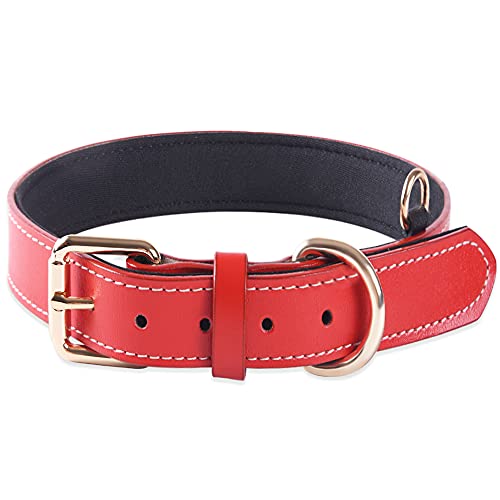 Collares de Perro Suaves Acolchados de Cuero Genuino Ajustables para Cachorros Collar de Perros de Raza pequeña, Mediana y Grande (Rojo) (L) Cover