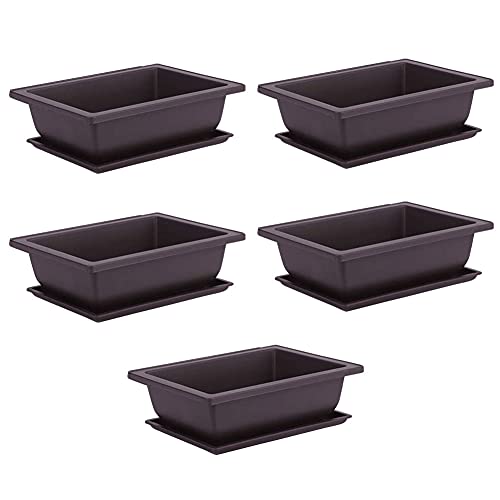 Gcroet 10pcs Bonsai Entraînement Pots avec Plateau en Plastique Bonsaï Plantes Pot de Culture, Pot de Formation de bonsaï, Fleur Succulente Bonsaï Pots Conteneur de Culture de Fleurs pour Jardin,