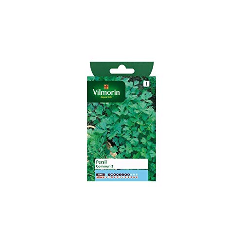 Vilmorin - Sachet graines Persil commun 2