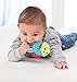 HABA Teether Chomp Champ Fish Teether - Soft Activity Toy with Crackling Foil & Plastic Teething Ring for Birth and Up
