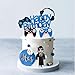 Video Game Cake Toppers Decoration Game Controller Blue Black Ball Cake Toppers for Game Theme Birthday Supplies (Style 1)
