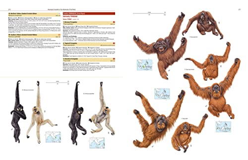 Illustrated Checklist of the Mammals of the World