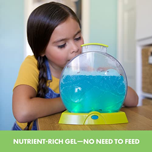 Educational Insights Geosafari Day 'N' Night Ant Factory: Kids Outdoor Toys, Gift For Kids Ages 7+ #TOP3