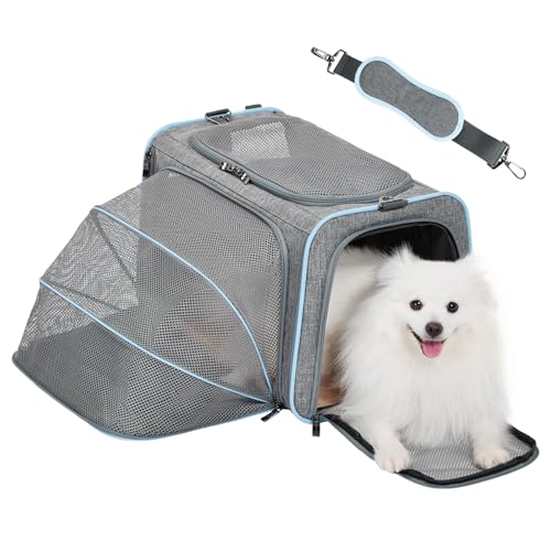 Petsfit Faltbarer Transporttasche Katze und Hund,erweiterbare Katzentransportbox mit Schultergurt Hundetragetasche Flugtasche Oxford Gewebe für Katze und Hund, L/Grau/Einseitig