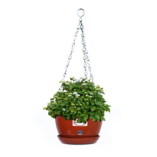 Pepper Agro GPA1023 Hanging Planter with Metal Chain and Base Plate (Terracotta)